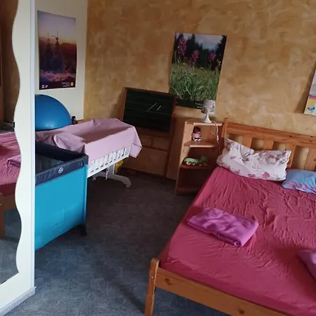 Ferienwohnung Wilhelmi Apartment *